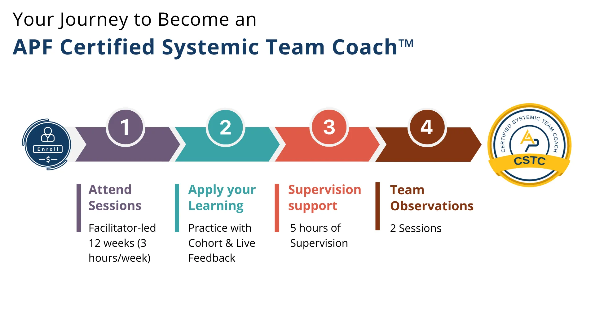 Agile PeopleOps Framework Certified Systemic Team Coach™(APF CSTC™) - Journey
